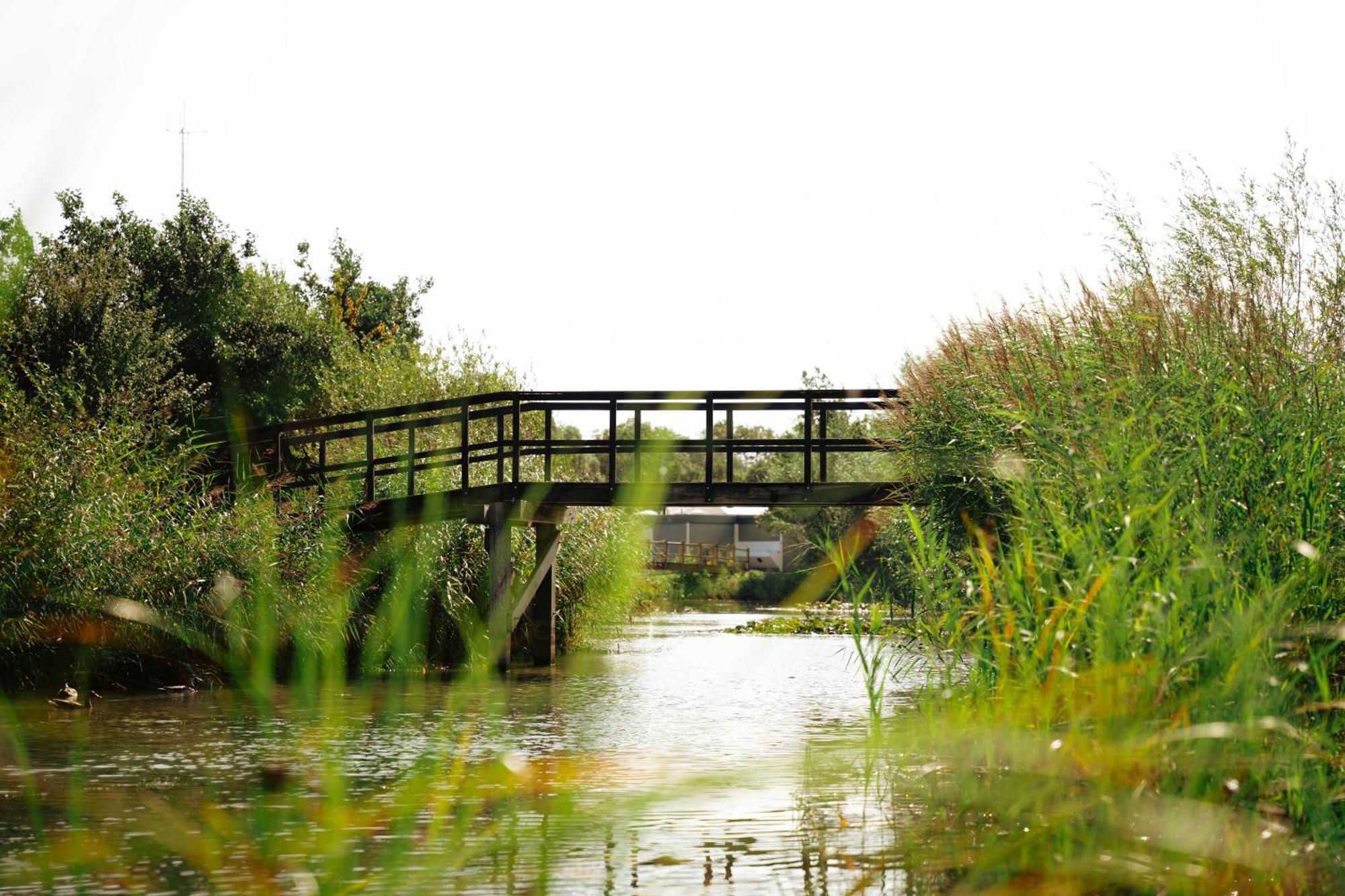 Resort Land & Zee Scharendijke Exterior photo